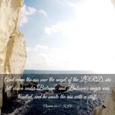 Picture 03 - Numbers 22:27 KJV - And when the ass saw the angel of the LORD, she - Bible Verse Picture