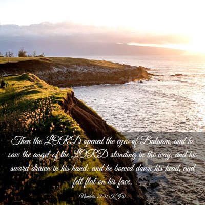 Picture 03 - Numbers 22:31 KJV - Then the LORD opened the eyes of Balaam, and he - Bible Verse Picture