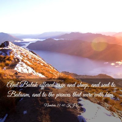 Picture 03 - Numbers 22:40 KJV - And Balak offered oxen and sheep, and sent to - Bible Verse Picture