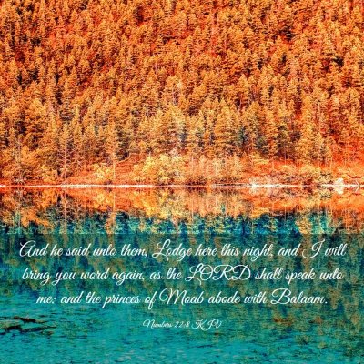 Picture 03 - Numbers 22:8 KJV - And he said unto them, Lodge here this night, and - Bible Verse Picture