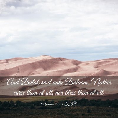Picture 03 - Numbers 23:25 KJV - And Balak said unto Balaam, Neither curse them at - Bible Verse Picture