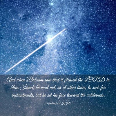 Picture 03 - Numbers 24:1 KJV - And when Balaam saw that it pleased the LORD to - Bible Verse Picture