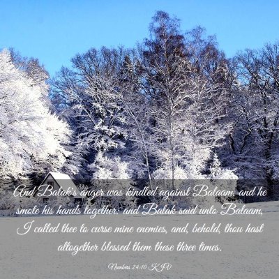 Picture 03 - Numbers 24:10 KJV - And Balak's anger was kindled against Balaam, and - Bible Verse Picture
