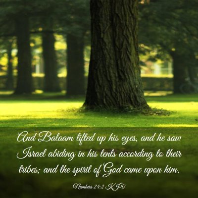 Picture 03 - Numbers 24:2 KJV - And Balaam lifted up his eyes, and he saw Israel - Bible Verse Picture