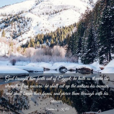 Picture 03 - Numbers 24:8 KJV - God brought him forth out of Egypt; he hath as it - Bible Verse Picture
