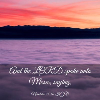 Picture 03 - Numbers 25:10 KJV - And the LORD spake unto Moses, - Bible Verse Picture