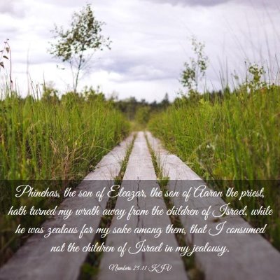 Picture 03 - Numbers 25:11 KJV - Phinehas, the son of Eleazar, the son of Aaron - Bible Verse Picture