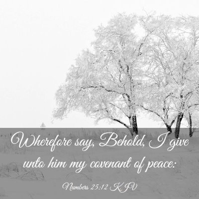 Picture 03 - Numbers 25:12 KJV - Wherefore say, Behold, I give unto him my - Bible Verse Picture