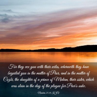 Picture 03 - Numbers 25:18 KJV - For they vex you with their wiles, wherewith they - Bible Verse Picture