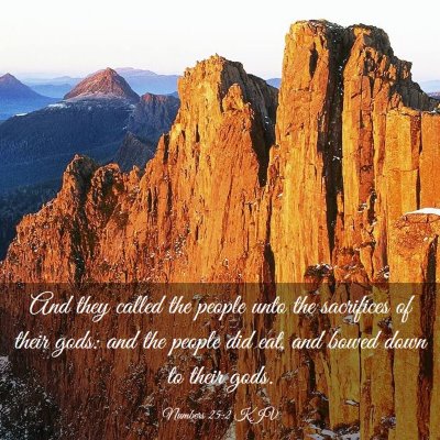 Picture 03 - Numbers 25:2 KJV - And they called the people unto the sacrifices of - Bible Verse Picture