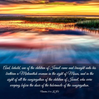 Picture 03 - Numbers 25:6 KJV - And, behold, one of the children of Israel came - Bible Verse Picture