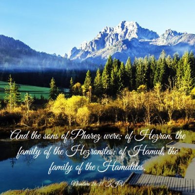 Picture 03 - Numbers 26:21 KJV - And the sons of Pharez were; of Hezron, the - Bible Verse Picture