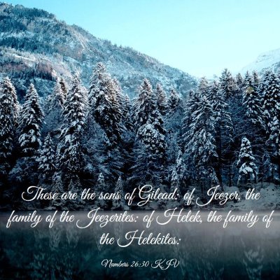 Picture 03 - Numbers 26:30 KJV - These are the sons of Gilead: of Jeezer, the - Bible Verse Picture