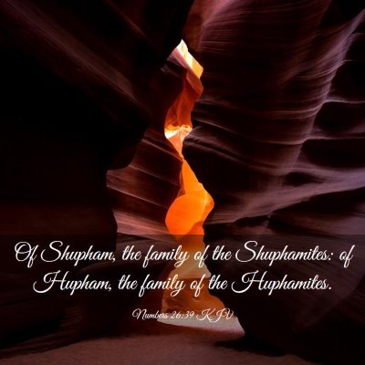 Picture 03 - Numbers 26:39 KJV - Of Shupham, the family of the Shuphamites: of - Bible Verse Picture