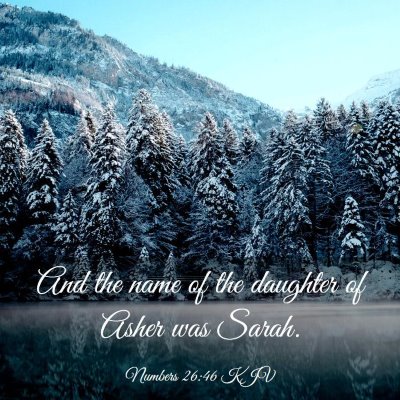 Picture 03 - Numbers 26:46 KJV - And the name of the daughter of Asher was - Bible Verse Picture