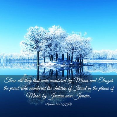 Picture 03 - Numbers 26:63 KJV - These are they that were numbered by Moses and - Bible Verse Picture