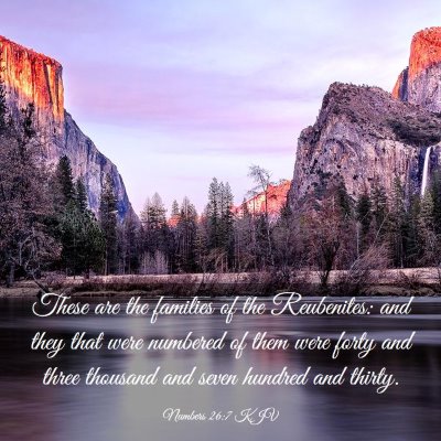 Picture 03 - Numbers 26:7 KJV - These are the families of the Reubenites: and - Bible Verse Picture