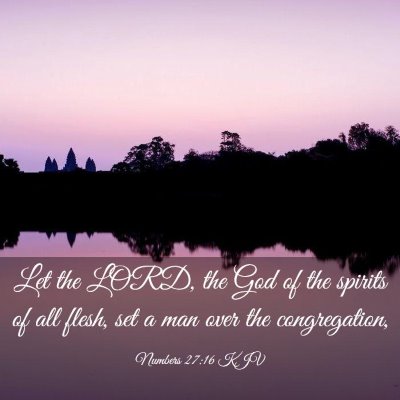 Picture 03 - Numbers 27:16 KJV - Let the LORD, the God of the spirits of all - Bible Verse Picture