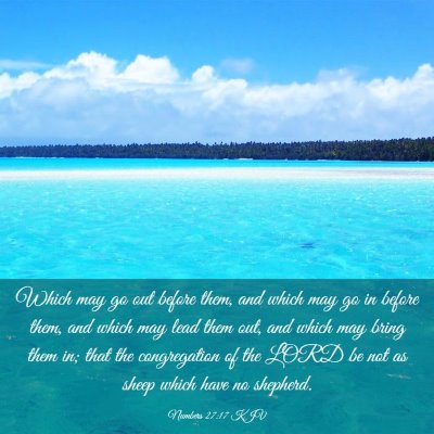 Picture 03 - Numbers 27:17 KJV - Which may go out before them, and which may go in - Bible Verse Picture
