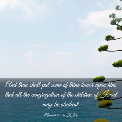 Picture 03 - Numbers 27:20 KJV - And thou shalt put some of thine honor upon him, - Bible Verse Picture