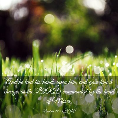 Picture 03 - Numbers 27:23 KJV - And he laid his hands upon him, and gave him a - Bible Verse Picture