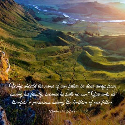Picture 03 - Numbers 27:4 KJV - Why should the name of our father be done away - Bible Verse Picture