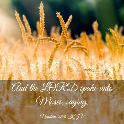 Picture 03 - Numbers 27:6 KJV - And the LORD spake unto Moses, - Bible Verse Picture