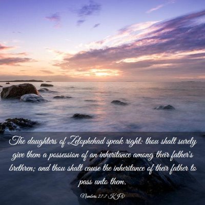 Picture 03 - Numbers 27:7 KJV - The daughters of Zelophehad speak right: thou - Bible Verse Picture