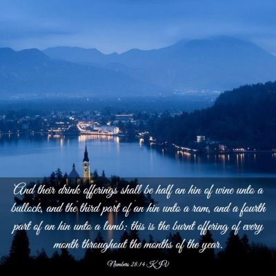Picture 03 - Numbers 28:14 KJV - And their drink offerings shall be half an hin of - Bible Verse Picture