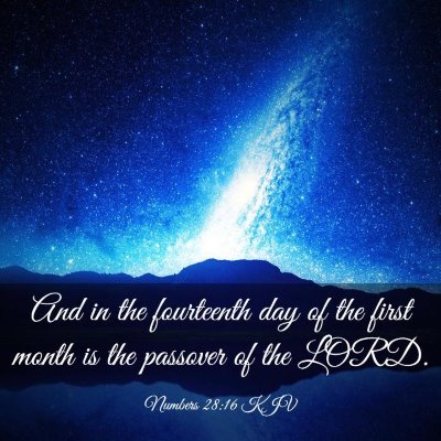 Picture 03 - Numbers 28:16 KJV - And in the fourteenth day of the first month is - Bible Verse Picture