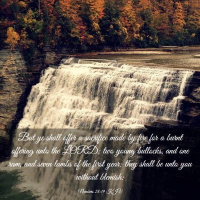 Picture 03 - Numbers 28:19 KJV - But ye shall offer a sacrifice made by fire for a - Bible Verse Picture