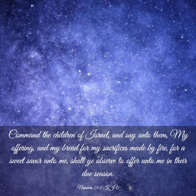 Picture 03 - Numbers 28:2 KJV - Command the children of Israel, and say unto - Bible Verse Picture