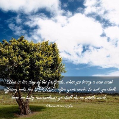 Picture 03 - Numbers 28:26 KJV - Also in the day of the firstfruits, when ye bring - Bible Verse Picture