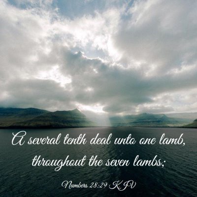 Picture 03 - Numbers 28:29 KJV - A several tenth deal unto one lamb, throughout - Bible Verse Picture