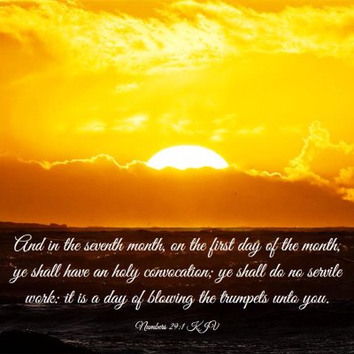 Picture 03 - Numbers 29:1 KJV - And in the seventh month, on the first day of the - Bible Verse Picture