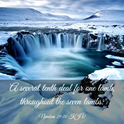 Picture 03 - Numbers 29:10 KJV - A several tenth deal for one lamb, throughout the - Bible Verse Picture