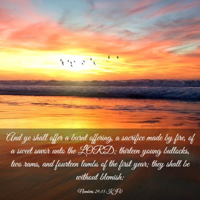 Picture 03 - Numbers 29:13 KJV - And ye shall offer a burnt offering, a sacrifice - Bible Verse Picture