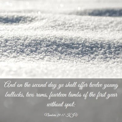 Picture 03 - Numbers 29:17 KJV - And on the second day ye shall offer twelve young - Bible Verse Picture