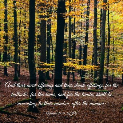 Picture 03 - Numbers 29:18 KJV - And their meat offering and their drink offerings - Bible Verse Picture