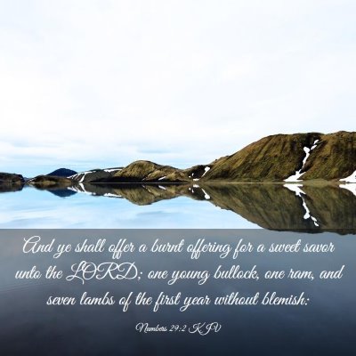 Picture 03 - Numbers 29:2 KJV - And ye shall offer a burnt offering for a sweet - Bible Verse Picture
