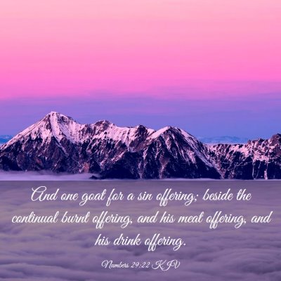 Picture 03 - Numbers 29:22 KJV - And one goat for a sin offering; beside the - Bible Verse Picture