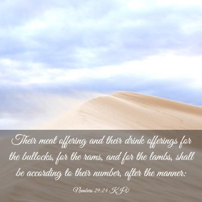Picture 03 - Numbers 29:24 KJV - Their meat offering and their drink offerings for - Bible Verse Picture