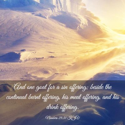 Picture 03 - Numbers 29:31 KJV - And one goat for a sin offering; beside the - Bible Verse Picture