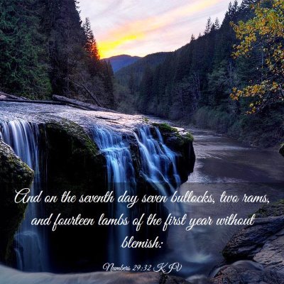 Picture 03 - Numbers 29:32 KJV - And on the seventh day seven bullocks, two rams, - Bible Verse Picture