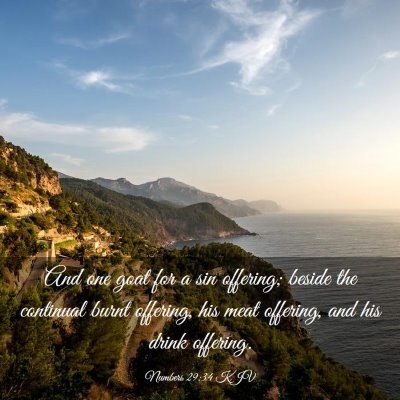 Picture 03 - Numbers 29:34 KJV - And one goat for a sin offering; beside the - Bible Verse Picture
