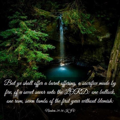 Picture 03 - Numbers 29:36 KJV - But ye shall offer a burnt offering, a sacrifice - Bible Verse Picture
