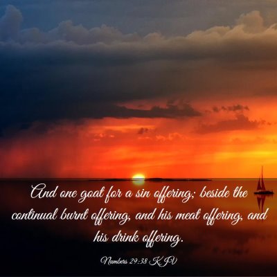 Picture 03 - Numbers 29:38 KJV - And one goat for a sin offering; beside the - Bible Verse Picture