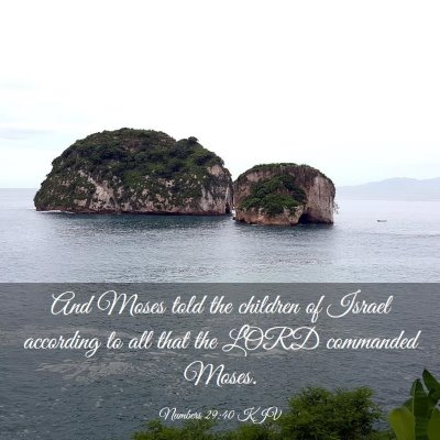 Picture 03 - Numbers 29:40 KJV - And Moses told the children of Israel according - Bible Verse Picture