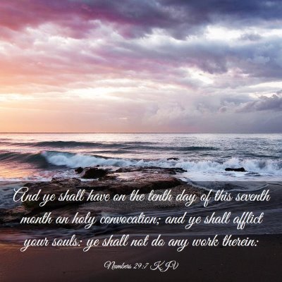 Picture 03 - Numbers 29:7 KJV - And ye shall have on the tenth day of this - Bible Verse Picture