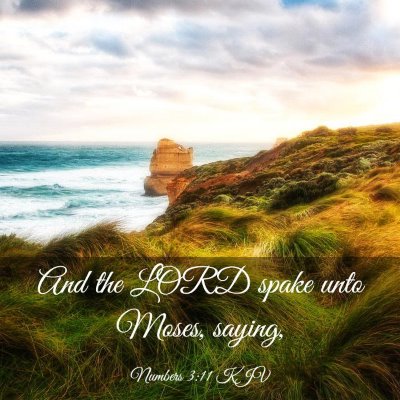 Picture 03 - Numbers 3:11 KJV - And the LORD spake unto Moses, - Bible Verse Picture